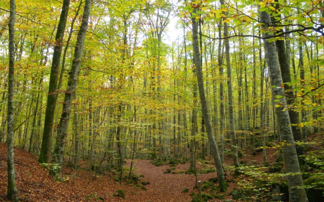 Parcs Naturals de Girona